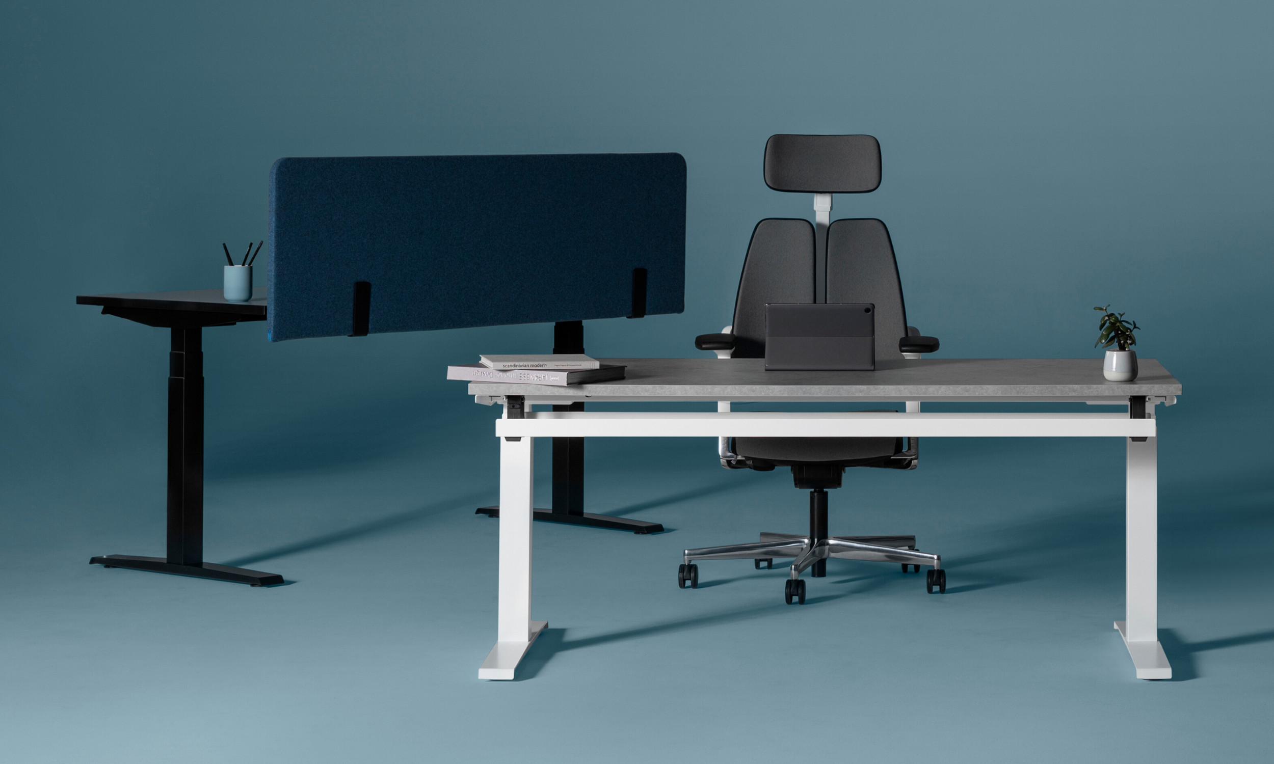 Two desks separated by a blue acoustic screen, with a task chair and a small plant