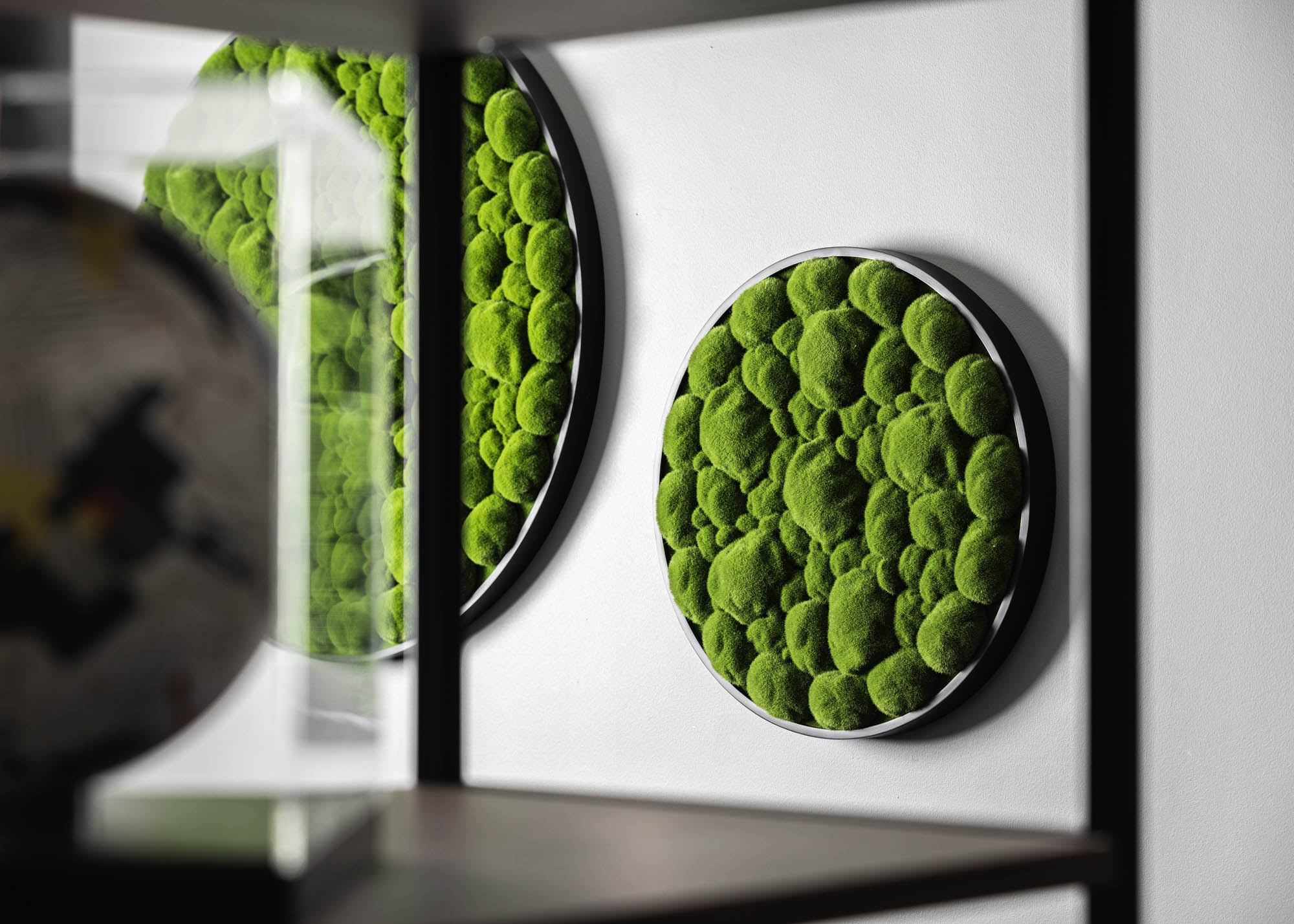 Circular moss panels on a feature wall